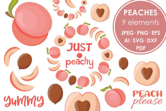 Peach Set Vector Flat Style Graphics and Illustrations Review
